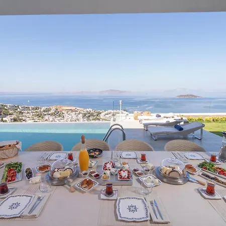 Villara Ultra Luxury Private In Daily Housekeeping Private Cook Chauffeur Service וילה