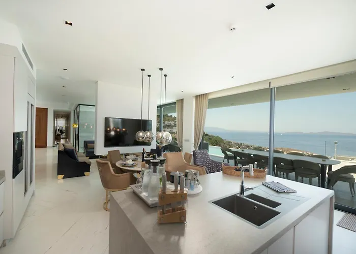 Villara Ultra Luxury Private In Daily Housekeeping Private Cook Chauffeur Service וילה