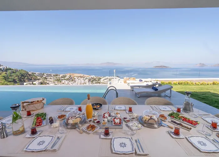 Villara Ultra Luxury Private In Daily Housekeeping Private Cook Chauffeur Service Βίλα